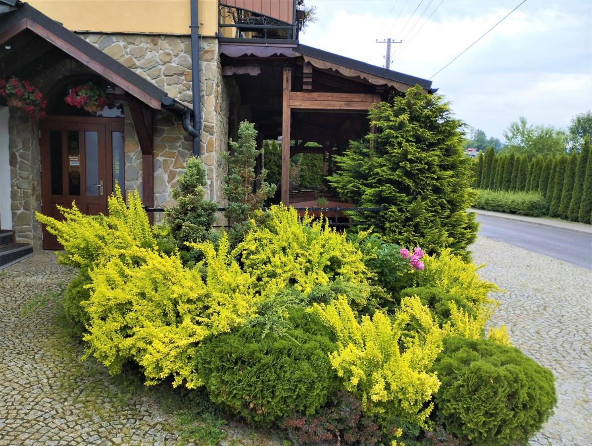 Willa Stritzki Wisła Exterior foto